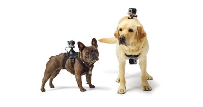 Fetch (Собачья шлейка) для камер GoPro