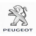 Головные устройства Peugeot
