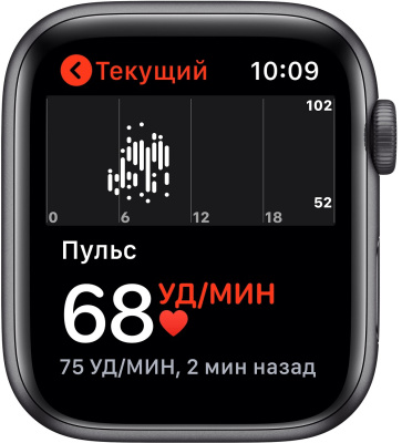 Смарт-часы APPLE Watch Series SE 44мм, темно-серый / черный