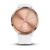 Часы Garmin Vivomove HR (Розовое Золото)