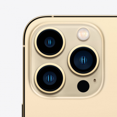 Apple iPhone 13 Pro Max 256Gb gold (золотой)